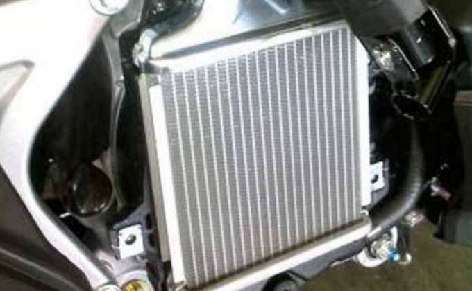 Radiator Motor